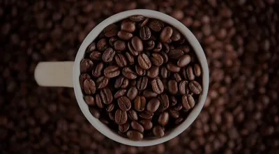 17 Апреля Международный день Кофе! #денькофе #сднемкофе #сднёмкофейка ... |  TikTok