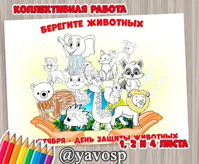 Челлендж ко Всемирному дню защиты животных с сегодняшнего дня начался в  Луганске » Администрация города Луганска - Луганской Народной Республики