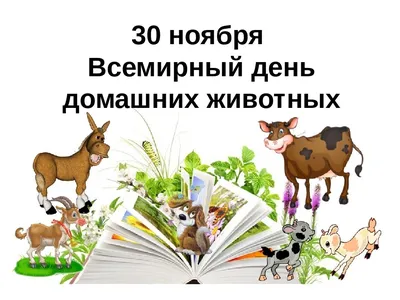 30 ноября - Всемирный день домашних животных | МБУК \"Гуманитарный центр -  библиотека имени семьи Полевых\"