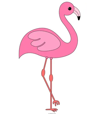 Рисованной розовый милый фламинго PNG , Клип арт, животное, рисунок для  животных PNG картинки и пнг PSD рисунок для бесплатной загрузки