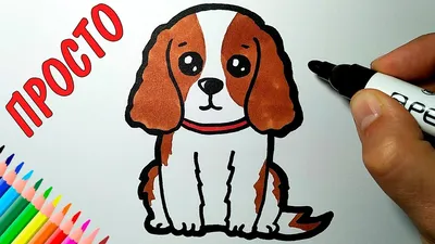 Рисункии собак для срисовки