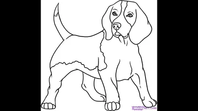 Рисунки собак для срисовки милые - 44 фото