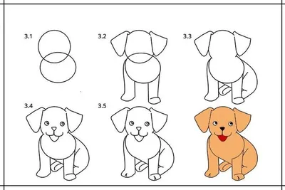 Идеи для срисовки маленькие породы собак (90 фото) » идеи рисунков для  срисовки и картинки в стиле арт - АРТ.КАРТИНКОФ.КЛАБ
