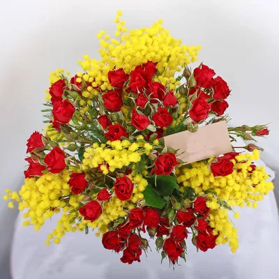Мимоза КОЛОКОЛЬЧИК Комнатный цветок - купить по выгодным ценам в  интернет-магазине OZON (1005433804)
