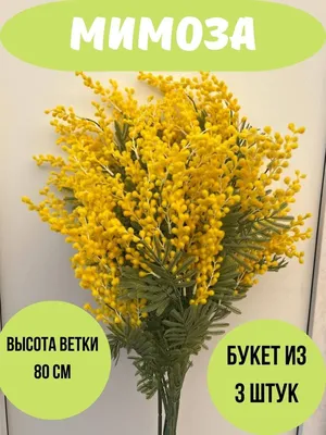 Кустовые розы и мимоза в букете за 8 290 руб. | Бесплатная доставка цветов  по Москве