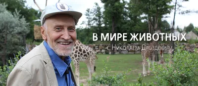 Мир животных\", контактный зоопарк в ТРЦ \"Континент\", Омск | Омск  KidsReview.ru