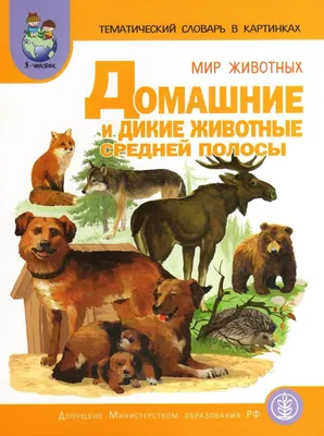 Мир животных. Комплект из 4 книг в энтомологическом магазине Naturaliste