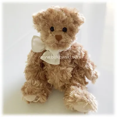 Мягкая игрушка мишка Тедди купить по низким ценам в интернет-магазине Uzum  (338997)