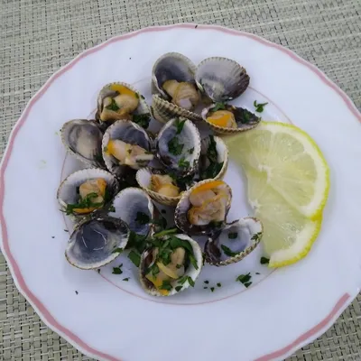 Свежий сырой морской моллюск показывает моллюски на продажу на рынке  морепродуктов | Премиум Фото