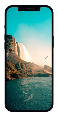 Подводные обои и картинки для вашего iphone, android и iphone. | Премиум  Фото