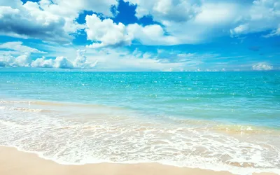 Картинки пляж пальмы вертикальные (61 фото) » Картинки и статусы про  окружающий мир вокруг