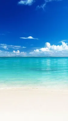 Тропический Пляж Голубое Небо И Пальмы Бирюзовый Морской Водой Вертикальные  — стоковые фотографии и другие картинки Без людей - iStock
