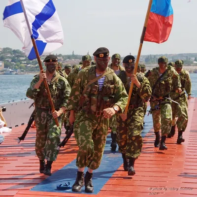 Морская пехота России празднует 311-й день рождения » Военные материалы