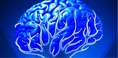 9 мифов о человеческом мозге, в которые вы верите абсолютно зря - Лайфхакер