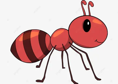Правда ли, что муравей состоит из стекла? | Канал о животных | Дзен