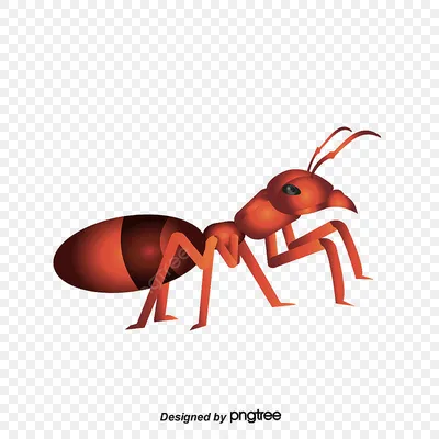 Деревянный муравей, муравей, муравьи, Rufa Formica Стоковое Изображение -  изображение насчитывающей лето, муравеев: 110173257