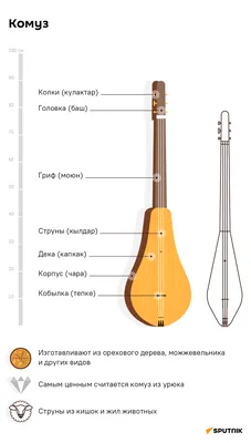 Какой музыкальный инструмент выбрать для ребенка, ребенок и музыка, стоит  ли обучаться ребенку музыкальным инструментам