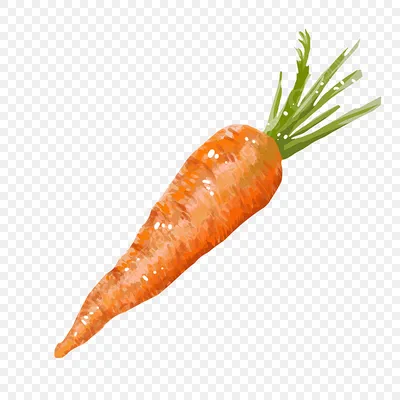 маленькая красная морковь растущая в какой то земле, высокое разрешение,  морковь, нет людей фон картинки и Фото для бесплатной загрузки