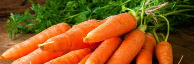желтая морковь красная морковь вкусные овощи органические овощи PNG ,  свежие овощи, рисованной овощной иллюстрации, желтой моркови PNG картинки и  пнг PSD рисунок для бесплатной загрузки