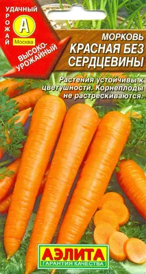Одна морковь на белой предпосылке Стоковое Изображение - изображение  насчитывающей съестно, свеже: 89140387