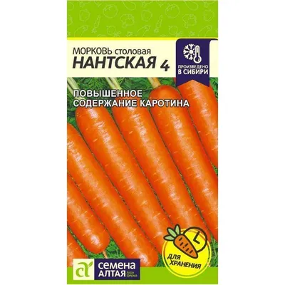 Дорожают не только огурцы. Астраханская морковь резко подорожала | ИА  Красная Весна