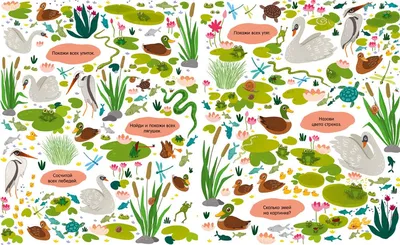Иллюстрация 10 из 26 для Найди и раскрась с наклейками. Мир животных |  Лабиринт - книги. Источник: