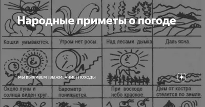 Народные приметы и прогноз погоды - Моя газета | Моя газета