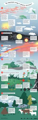 Как предсказать погоду по народным приметам? | Инфографика | Вопрос-Ответ |  Аргументы и Факты