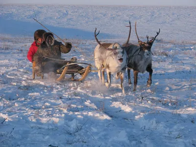 Коренные жители Севера