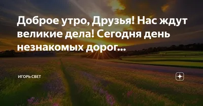 Instagram post by клетчатый слон февроний • Sep 30, 2016 at 9:41am UTC |  Inspirational quotes, Funny pictures, Funny