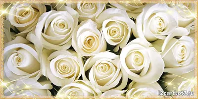 Открытка \"С Днем рождения, любимая!\" с розами, скачать бесплатно