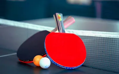 Настольный теннис | СКК «Спектр» - мы делаем спорт доступным