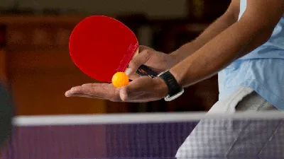 Ставки на настольный теннис в лайве: лучшие стратегии для пинг-понга, на  что ставить