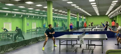 https://www.sports.ru/ping-pong/