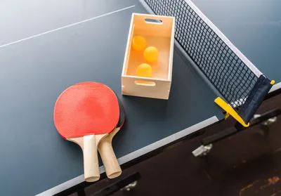 Как выбрать ракетку для настольного тенниса любителю и профессионалу. |  TENIX