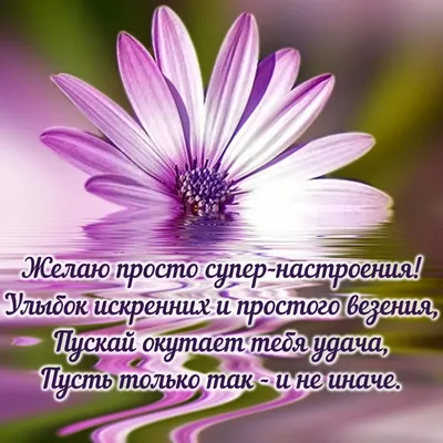 цитаты #жизнь #мысли #настроение #супер #утро | Instagram