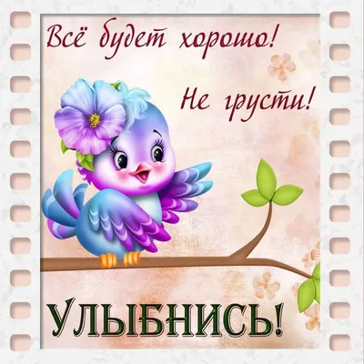Не расстраивайся из-за ерунды (открытка 479): Бесплатные картинки •  Otkrytki.Top