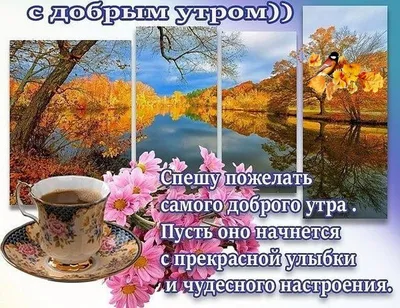 Осенние картинки \"С Добрым Утром!\" (359 шт.)