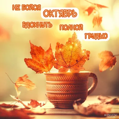 🍁 ⛅ ☕ Картинки С добрым осенним утром - скачать (240 шт.)