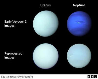 3d Визуализация Изолированной Планеты Нептун — стоковые фотографии и другие  картинки Планета Нептун - Планета Нептун, Планета, Астероид - iStock