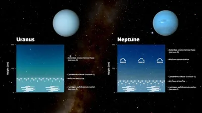 Нептун Планеты Солнечной Системы Иллюстрация Живопись Мелом Рисунок —  стоковая векторная графика и другие изображения на тему Планета Нептун -  iStock