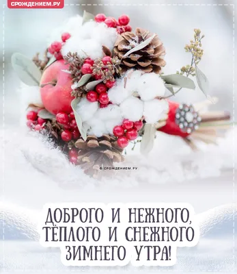 Оригинальная открытка \"Доброго нежного зимнего утра!\" • Аудио от Путина,  голосовые, музыкальные