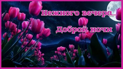 Красивые картинки \"Спокойной ночи!\" (743 шт.)