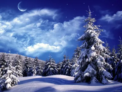 Ночная зима | DADA_ASLAN | Дзен