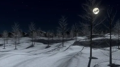 Русская деревня ночью зимой. Дорога, покрытая снегом, и свет из окон домов  - Ozero - российский фотосток