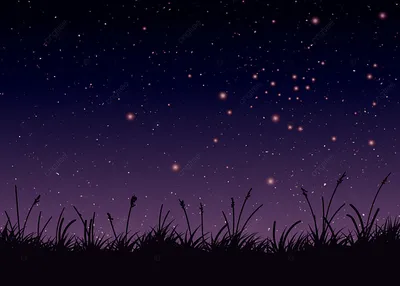 ночные сумерки и силуэты луга, небо, ночь, трава фон картинки и Фото для  бесплатной загрузки