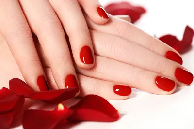 Shellac and SNS Nails - glamour in your finger tips The Perfect Beauty Spot