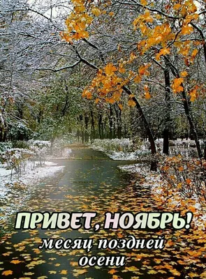 Привет, Ноябрь🍂 | Цветочные картины, Осенние картинки, Осенние украшения