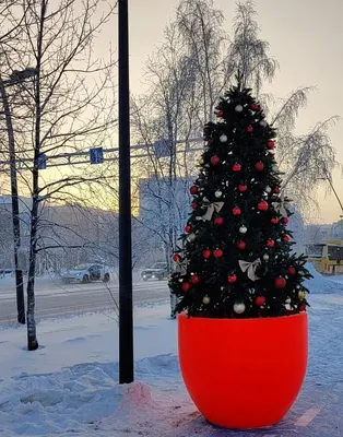Оригинальные новогодние елки – хенд-мейд » uCrazy.ru - Источник Хорошего  Настроения