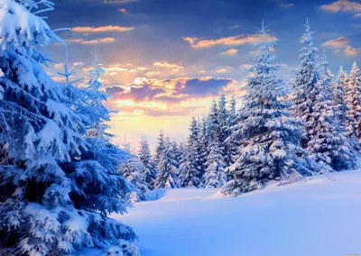 Красивые зимние новогодние обои - 66 фото